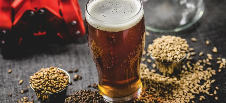  啤酒發(fā)酵過程大揭秘！vAPCI+CMS 聯(lián)用新技術(shù)如何快速捕捉風(fēng)味密碼？